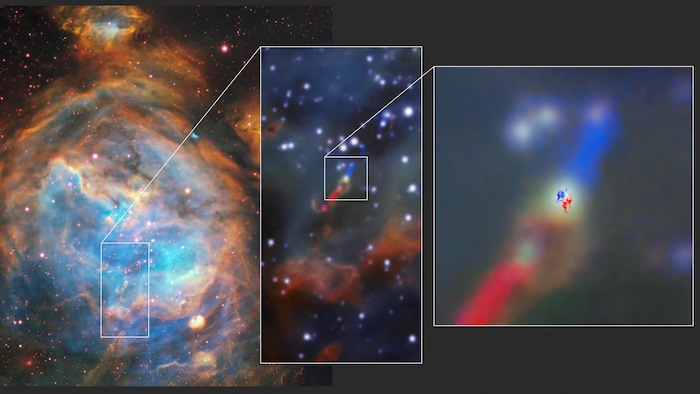 Le disque et le jet dans le jeune système stellaire HH 1177 vus avec MUSE et ALMA.