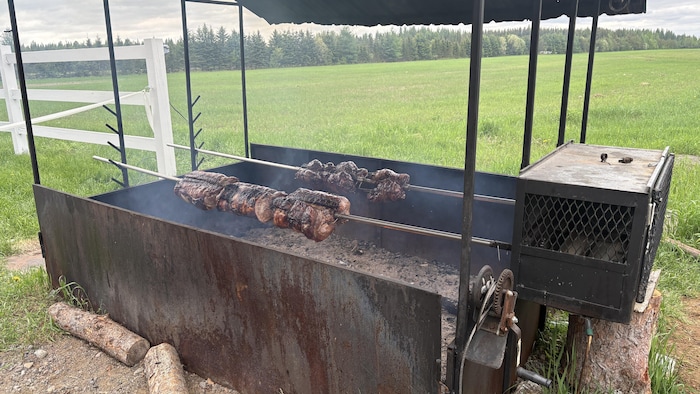 Des morceaux de viande cuisent sur une broche au-dessus d'un brasier.