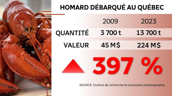 Un tableau montrant la hausse des quantités et de la valeur des débarquements de homard.