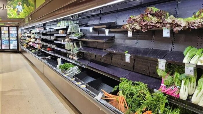 Des tablettes vides de la section des fruits et légumes d'une épicerie.
