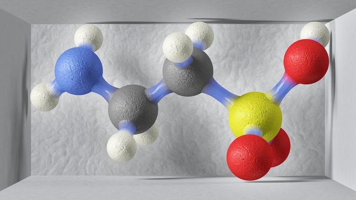 Modèle moléculaire de la taurine.