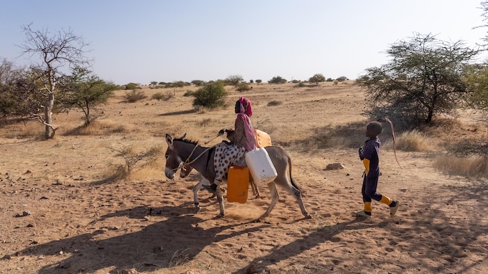 Une jeune fille sur un âne avec des bidons.
