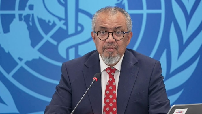 Cette capture d'écran tirée d'une vidéo de l'AFP montre le directeur général, Tedros Adhanom Ghebreyesus, lors d'une conférence de presse virtuelle consacrée au foyer d'infection par l'hantavirus lié à un voyage en bateau de croisière, à Genève, le 7 mai 2026. 