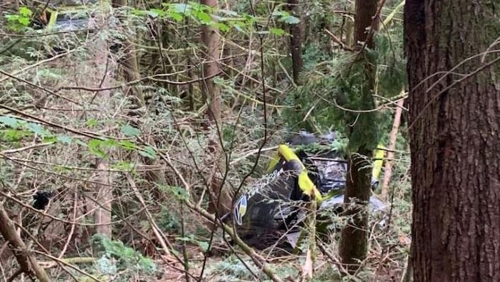 Une cabine lourdement endomagée sur le sol d'une forêt.