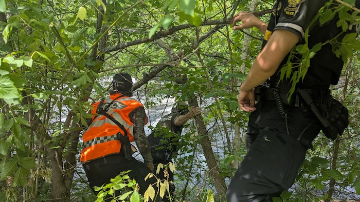 Trois policiers se déplacent dans une forêt, vers un ruisseau.