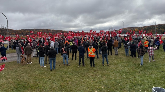 Des dizaines de drapeaux d'Unifor sont braqués en l'air par des participants.