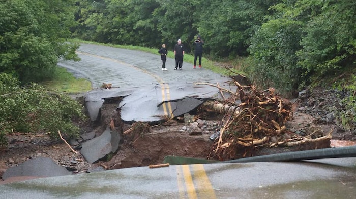 Trois personnes constatent les dégâts des inondations : un arbre a été déraciné et la route est complètement détruite, laissant apparaître la terre en dessous.