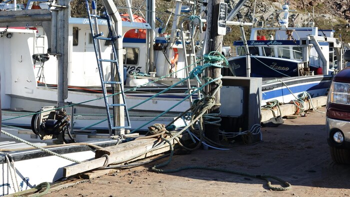Des bateaux de pêche sont attachés au quai par plusieurs cordages.