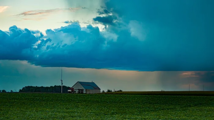 Une tempête observée dans un champ.