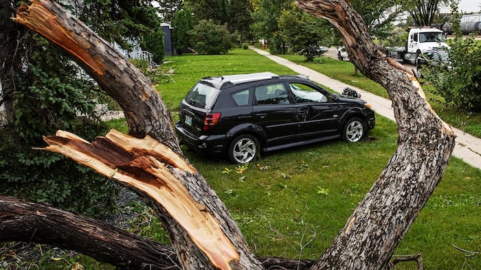 Une voiture cassée dans un jardin.