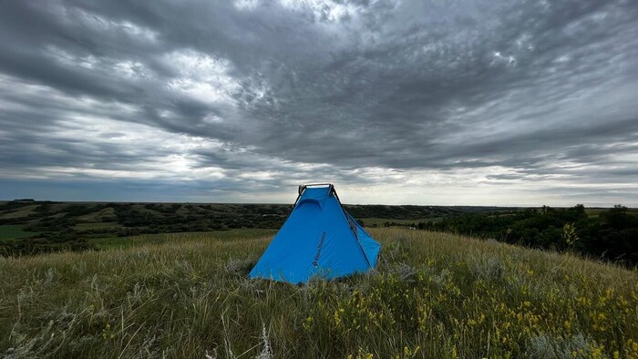 Une tente bleue est plantée en plein milieu de la nature.