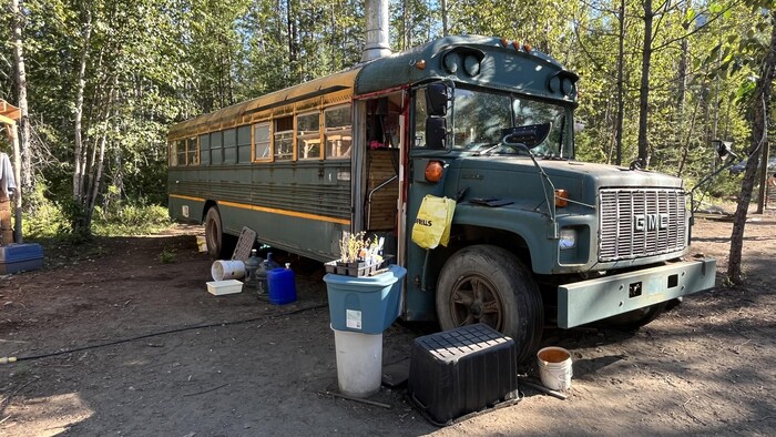 Un autobus scolaire vert et jaune dans la forêt.