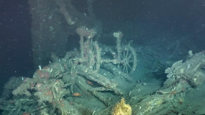 Le double gouvernail de l'épave du Terra Nova.