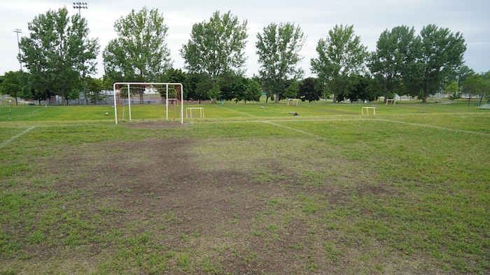 Un terrain de soccer naturel sur lequel la pelouse manque.