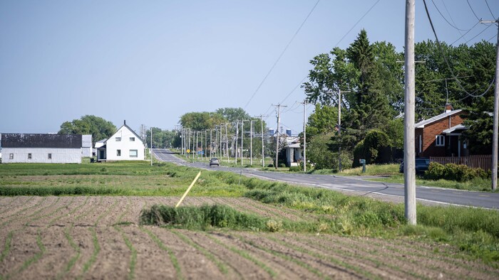 Une route de campagne en bordure d'un champ.