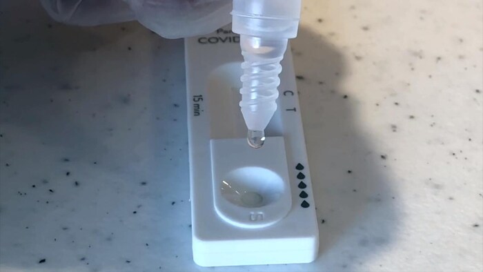 Une pipette dépose des gouttes d'un liquide sur un test de dépistage rapide à la COVID-19.
