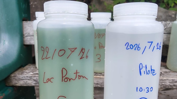Deux pots avec de l'eau à l'intérieur dont une est verte et l'autre est claire.