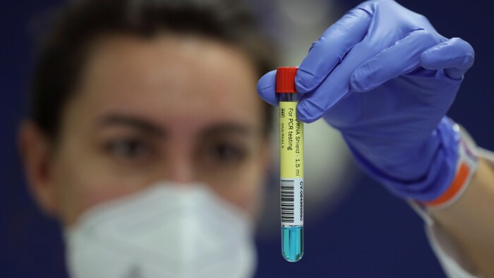 Une technicienne de laboratoire place une éprouvette devant elle.