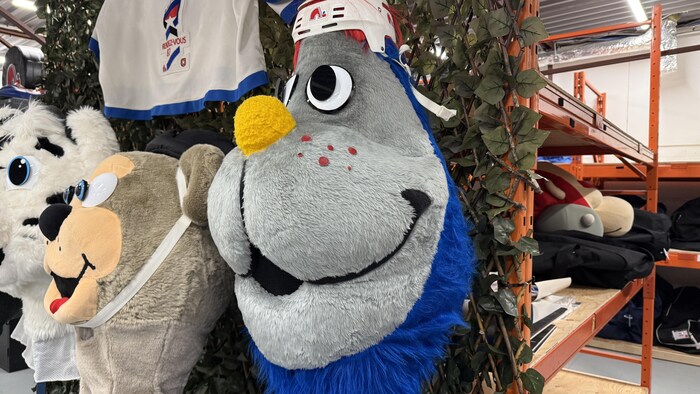 Plusieurs mascottes accrochées à une étagère.