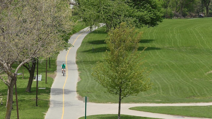 Un cycliste circule sur une piste asphaltée du réseau de sentiers de la Thames Valley, bordée d'arbres et de grands espaces verts.