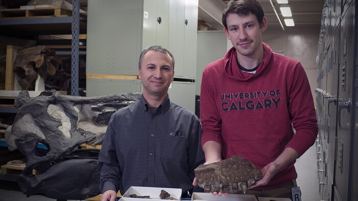 Deux hommes se tiennent côte à côte devant une série de fossiles. Un des hommes tient un morceau de mâchoire.