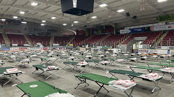 Lits du centre d'hébergement, dans un aréna à Thunder Bay.