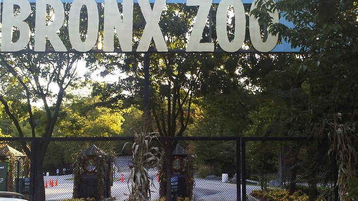 L'entrée du zoo est fermée par des grillages.