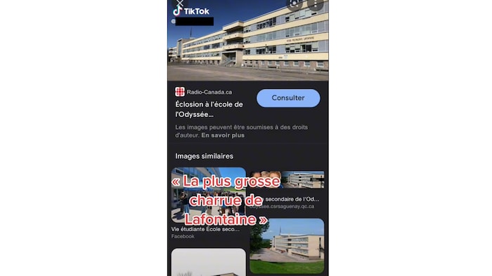 Capture d'écran d'une vidéo TikTok au sujet de « la plus grosse charrue de Lafontaine ».