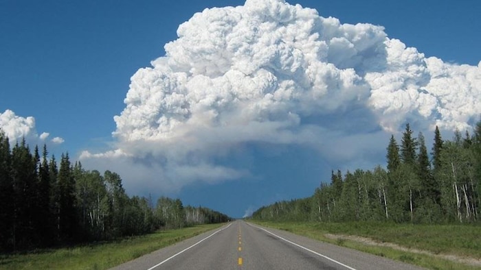 Un feu de forêt entraîne un énorme nuage de fumée dans le ciel de ...