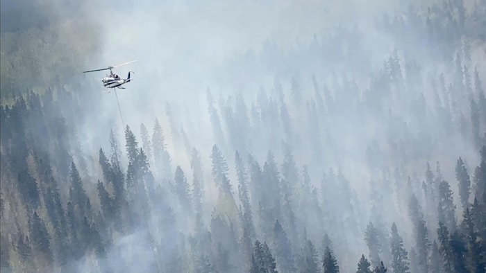 Vue aérienne d'un hélicoptère dans la fumée qui monte de la forêt, le 14 mai 2024.