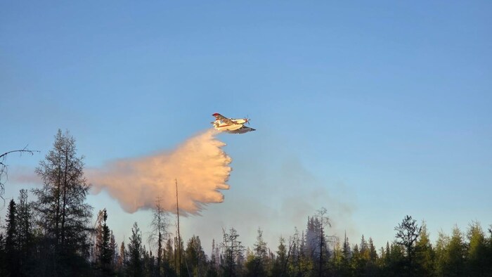 Un avion-citerne déverse de l'eau sur un incendie de forêt près de Fort Smith, dans les Territoires du Nord-Ouest, le 1er juin 2025.
