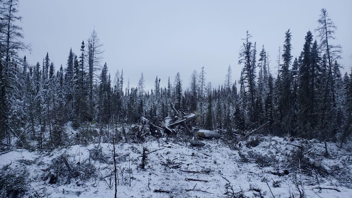 Épave d'avion au milieu d'une forêt en hiver, le 23 janvier 2024, à Fort Smith, aux Territoires du Nord-Ouest.