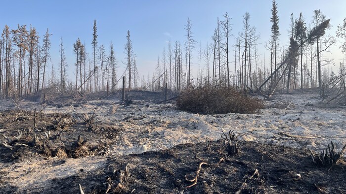 De la fumée s'échappe du sol après le feu de forêt à Hay River, le 20 septembre 2023.