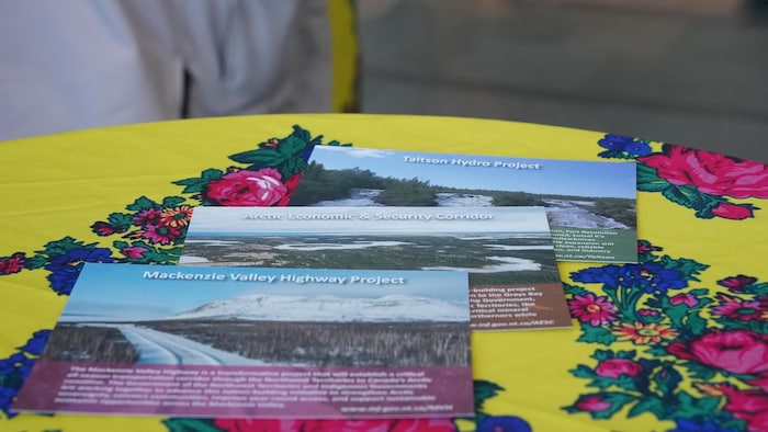 Trois affiches des projets des Territoires du Nord-Ouest sur une table fleurie.