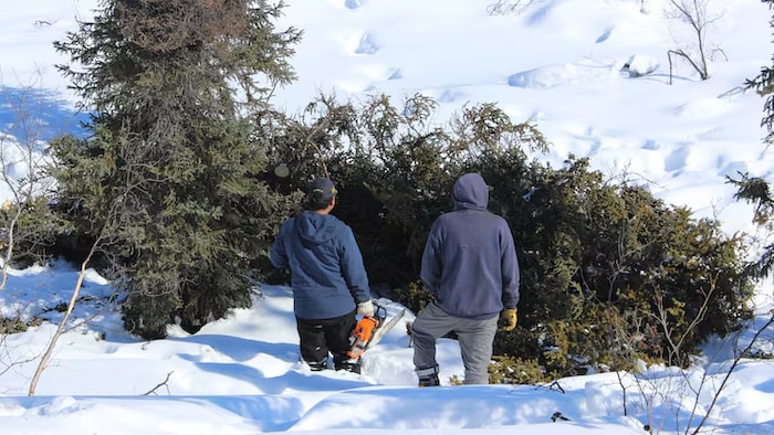 Deux personnes avec une tronçonneuse devant un arbre tombé. 