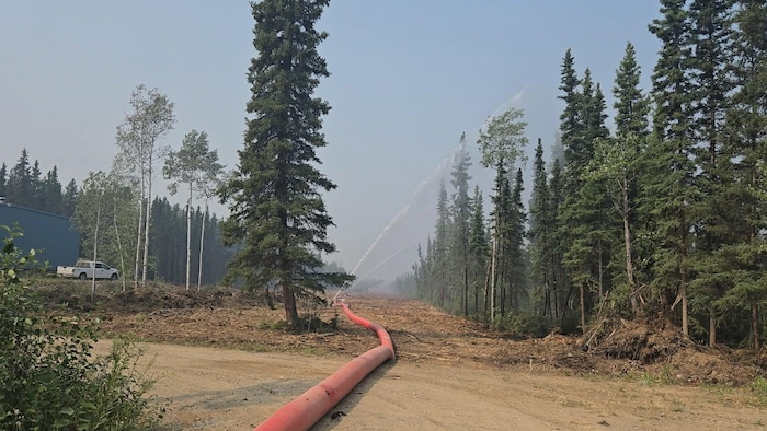 Un long tuyau d'où sort de l'eau près d'une forêt.