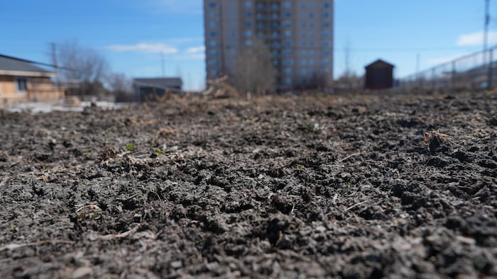 Un gros plan sur la terre d'un potager, avec un immeuble flou en arrière-plan.