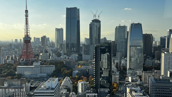 Tokyo, vue des airs.