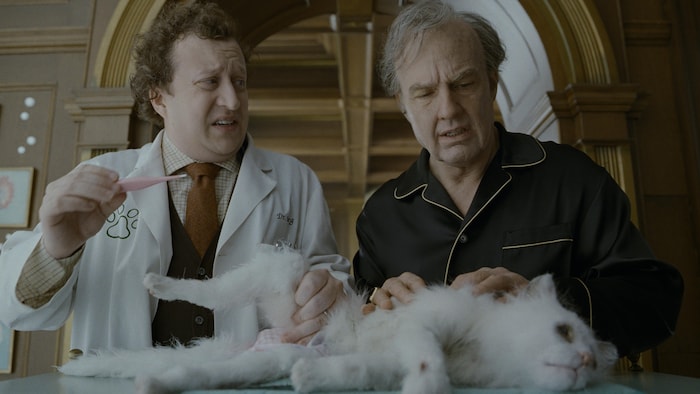Un homme et un vétérinaire regardent un chat mal en point étendu sur une table.