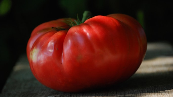 Plan rapproché d'une tomate.