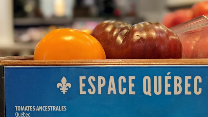 Des tomates présentées comme des tomates ancestrales du Québec.