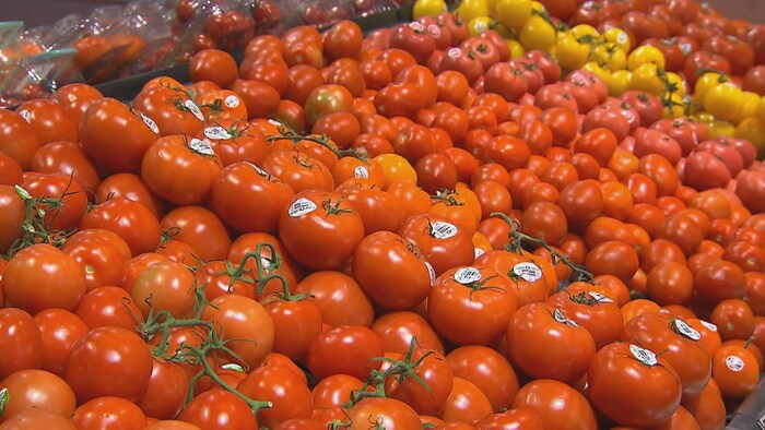 Un étalage de tomates.