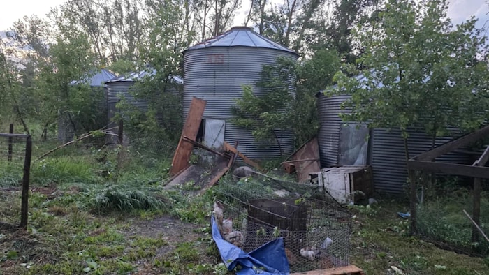 Un poulailler détruit par les vents