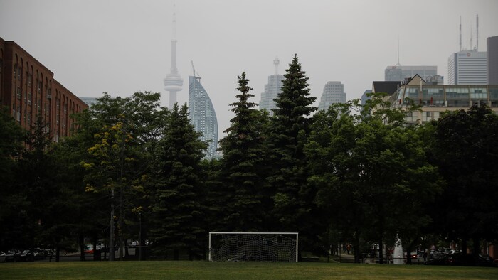 Des arbres en avant-plan; la Tour CN en arrière-plan.