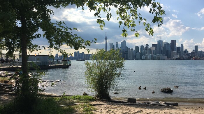 Horizon de la ville de Toronto, vue de l'île Ward avec une plage de sable et le lac Ontario.