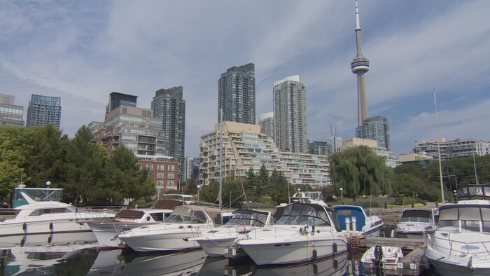 Des édifices à condominiums au bord de l’eau à Toronto.