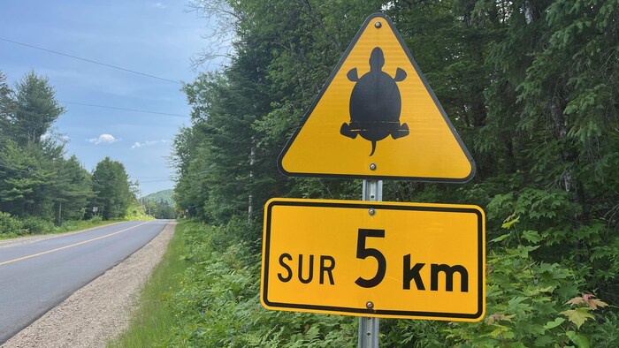 Un panneau de signalisation routière annonçant la présence de tortue des bois sur 5 km, à Saint-Mathieu-du-Parc.