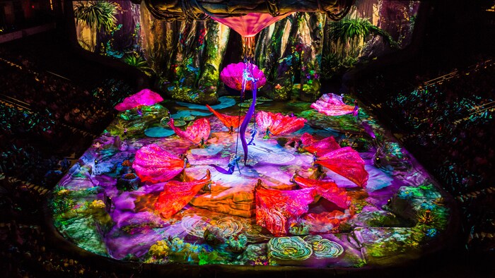 Tableau d'une scène de Toruk du Cirque du Soleil