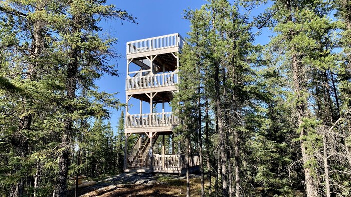 Une tour d'observation en bois.