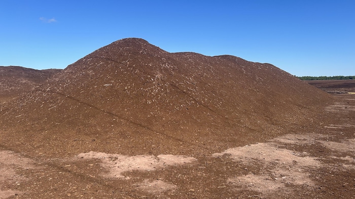 Une butte de tourbe sèche au soleil.